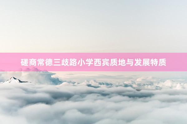 磋商常德三歧路小学西宾质地与发展特质